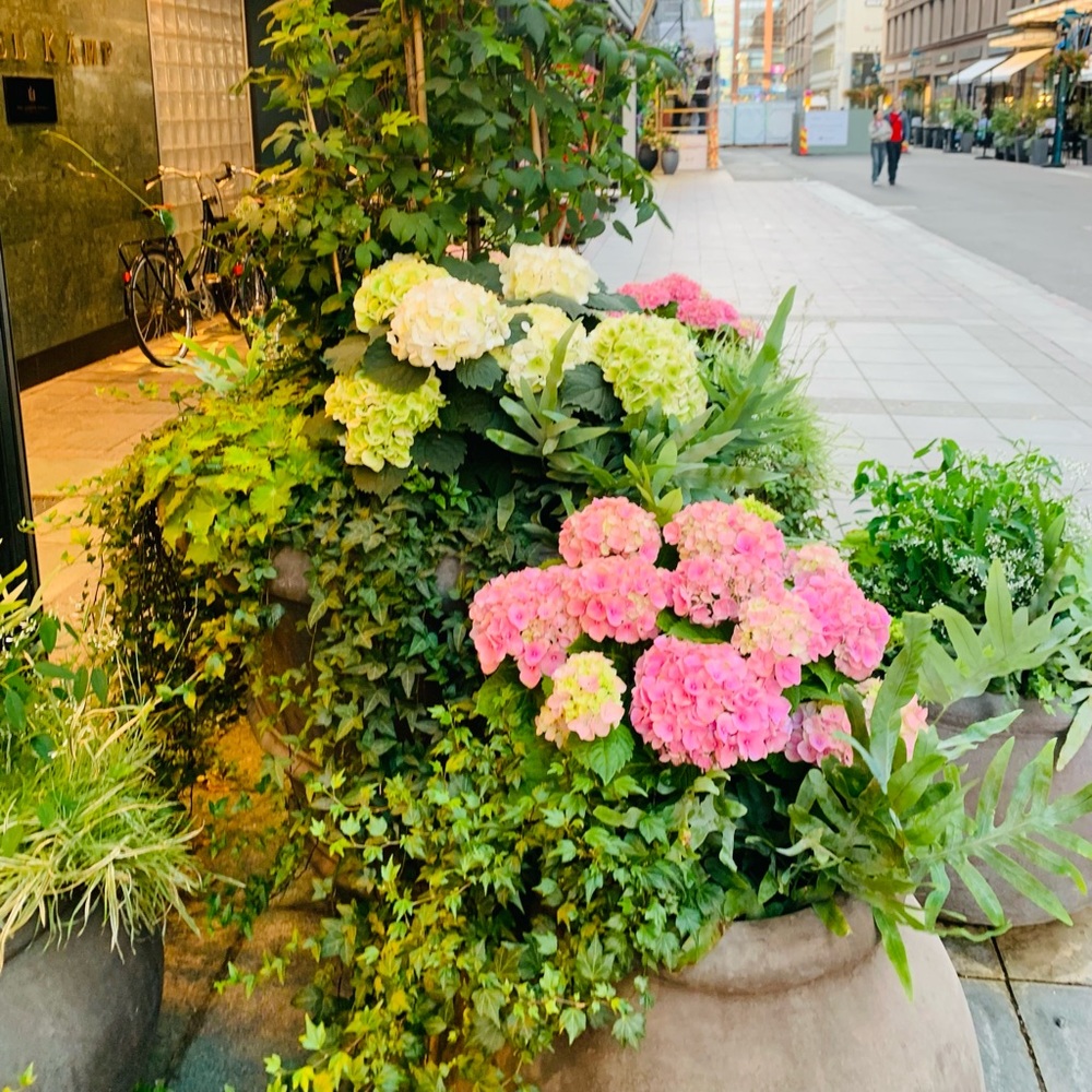 Meet your Posher, Dalita